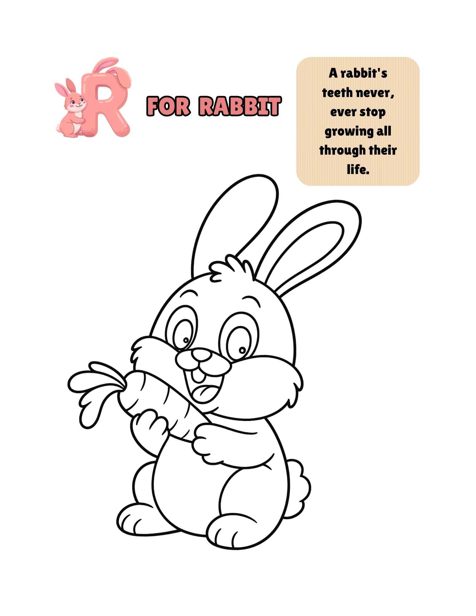 my jungle adventure – a to z animal coloring book with color guides & fun facts (printable pdf) my jungle adventure – a to z animal coloring book with color guides & fun facts (printable pdf)
