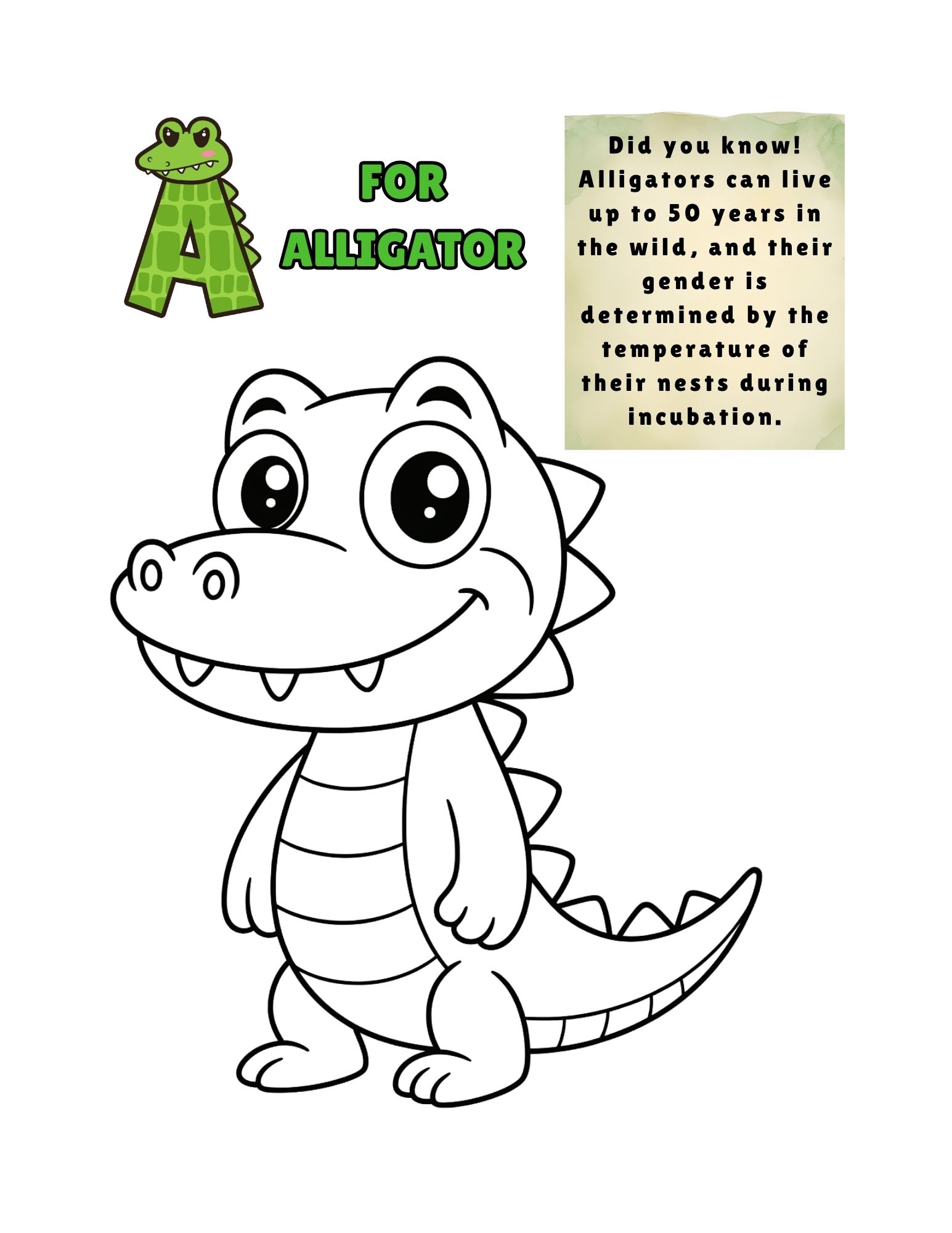 my jungle adventure – a to z animal coloring book with color guides & fun facts (printable pdf) my jungle adventure – a to z animal coloring book with color guides & fun facts (printable pdf)